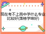 现在考不上高中学什么专业比较好(落榜学啥好)