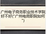广州电子商务职业技术学院好不好("广州电商职院如何")