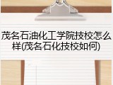 茂名石油化工学院技校怎么样(茂名石化技校如何)