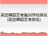 吴忠舞蹈艺考集训学校排名(吴忠舞蹈艺考排名)