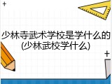 少林寺武术学校是学什么的(少林武校学什么)