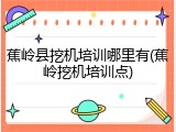 蕉岭县挖机培训哪里有(蕉岭挖机培训点)