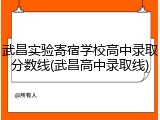 武昌实验寄宿学校高中录取分数线(武昌高中录取线)