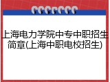 上海电力学院中专中职招生简章(上海中职电校招生)