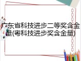 广东省科技进步二等奖含金量(粤科技进步奖含金量)