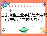 辽宁冶金工业学校是大专吗(辽宁冶金学校大专？)