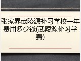 张家界武陵源补习学校一年费用多少钱(武陵源补习学费)