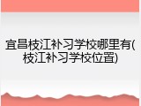 宜昌枝江补习学校哪里有(枝江补习学校位置)