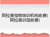 阿拉善宠物培训机构收费(阿拉善训宠收费)