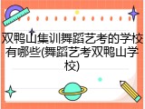 双鸭山集训舞蹈艺考的学校有哪些(舞蹈艺考双鸭山学校)