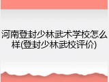 河南登封少林武术学校怎么样(登封少林武校评价)