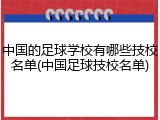 中国的足球学校有哪些技校名单(中国足球技校名单)