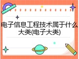 电子信息工程技术属于什么大类(电子大类)