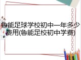 鲁能足球学校初中一年多少费用(鲁能足校初中学费)