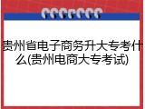 贵州省电子商务升大专考什么(贵州电商大专考试)