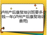 泸州产后康复培训班要多少钱一年(泸州产后康复培训费用)
