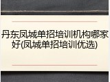 丹东凤城单招培训机构哪家好(凤城单招培训优选)