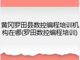 黄冈罗田县数控编程培训机构在哪(罗田数控编程培训)