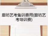 廊坊艺考集训费用(廊坊艺考培训费)