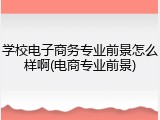 学校电子商务专业前景怎么样啊(电商专业前景)