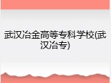 武汉冶金高等专科学校(武汉冶专)