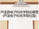 芦溪县电子科技学院在哪里(芦溪电子科技学院位置)