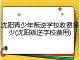 沈阳青少年叛逆学校收费多少(沈阳叛逆学校费用)