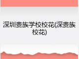深圳贵族学校校花(深贵族校花)