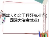 西建大冶金工程好就业吗(西建大冶金就业)