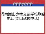 河南嵩山少林文武学校联系电话(嵩山武校电话)