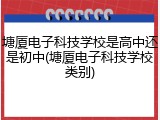 塘厦电子科技学校是高中还是初中(塘厦电子科技学校类别)