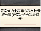 云南省冶金高等专科学校录取分数(云南冶金专科录取分)