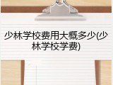 少林学校费用大概多少(少林学校学费)