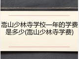 嵩山少林寺学校一年的学费是多少(嵩山少林寺学费)