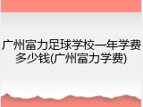 广州富力足球学校一年学费多少钱(广州富力学费)