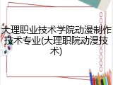 大理职业技术学院动漫制作技术专业(大理职院动漫技术)