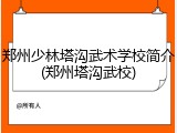 郑州少林塔沟武术学校简介(郑州塔沟武校)