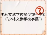 少林文武学校多少钱一学期("少林文武学校学费")