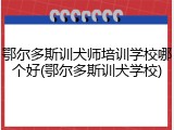 鄂尔多斯训犬师培训学校哪个好(鄂尔多斯训犬学校)