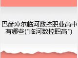 巴彦淖尔临河数控职业高中有哪些("临河数控职高")