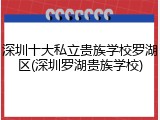 深圳十大私立贵族学校罗湖区(深圳罗湖贵族学校)
