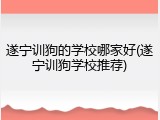 遂宁训狗的学校哪家好(遂宁训狗学校推荐)