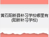 黄石阳新县补习学校哪里有(阳新补习学校)