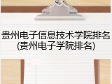 贵州电子信息技术学院排名(贵州电子学院排名)