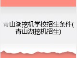 青山湖挖机学校招生条件(青山湖挖机招生)