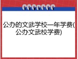 公办的文武学校一年学费(公办文武校学费)