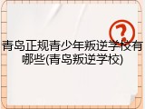 青岛正规青少年叛逆学校有哪些(青岛叛逆学校)