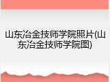 山东冶金技师学院照片(山东冶金技师学院图)