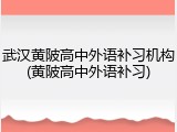 武汉黄陂高中外语补习机构(黄陂高中外语补习)