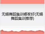 无锡舞蹈集训哪家好(无锡舞蹈集训推荐)